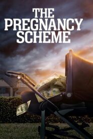 The Pregnancy Scheme 2023